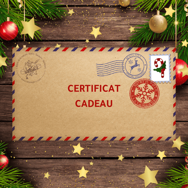 Carte-cadeau