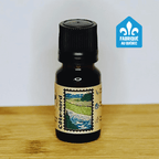 Côte-Nord - Résineux & petits fruits - Huile à diffuser