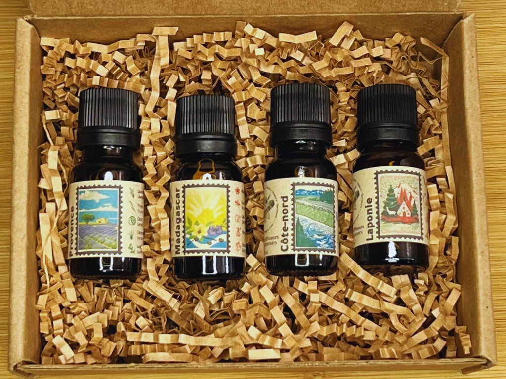 Nomad Collection - Olfactory Journey 🌍