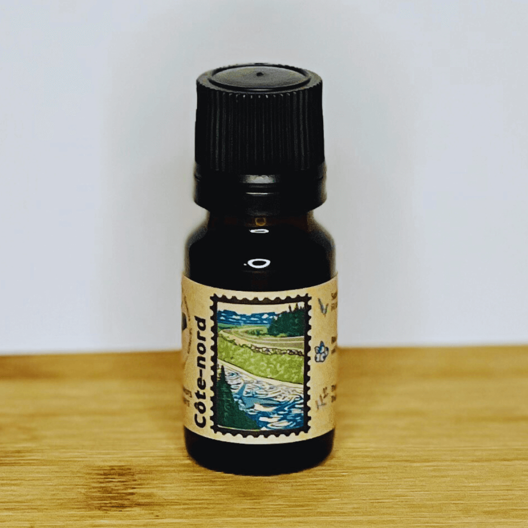 Côte - Nord - Résineux & petits fruits - Huile à diffuser - Sauvage - s